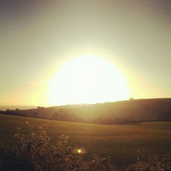 Sunset over field