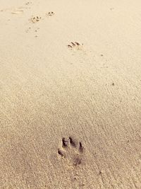 High angle view of footprints on sand