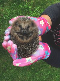 Close-up of hand holding umbrella