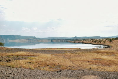 Scenic view of beach against sky