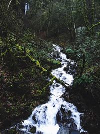 River flowing through rocks