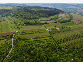 High angle view of agricultural field