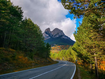 Country road by trees against sky