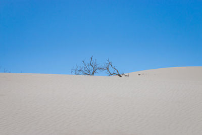 View of desert against clear blue sky