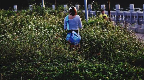 Rear view of woman standing amidst plants on field