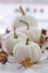 Close-up of white flowers on table