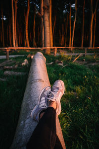 Low section of person on field in forest