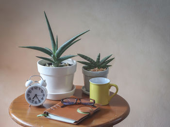 Close-up of potted plant on table