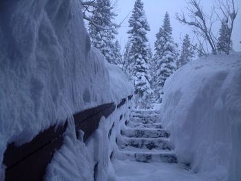 Panoramic view of snow covered landscape