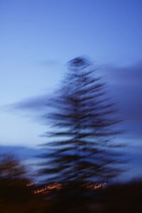 Close-up of silhouette plants against sky at sunset