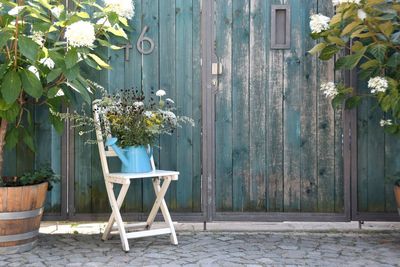 Potted plant on wall