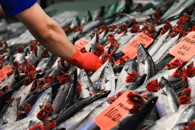 Midsection of fish for sale in market