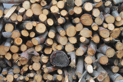 Full frame shot of logs