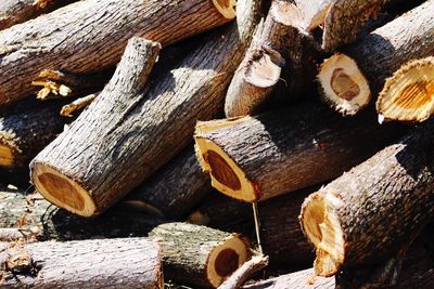 log