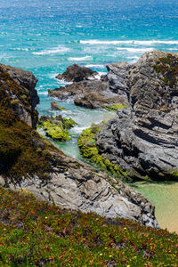 View from rocks covered with colorful succulents on the ocean on a sunny day landscape