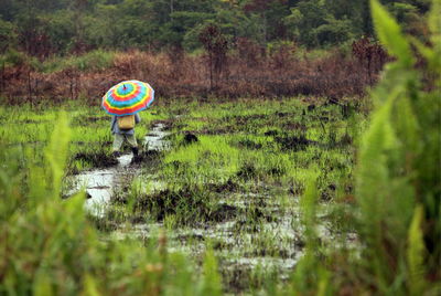 Rear view of person carrying umbrella while walking on field