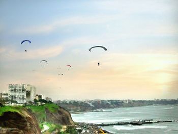 Birds flying over sea in city against sky