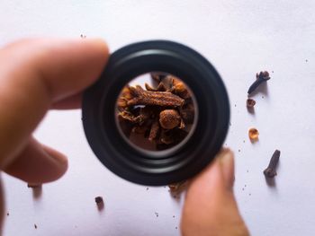 High angle view of clove through the lens 