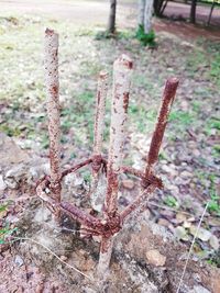 High angle view of rusty metal on field