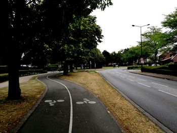 Empty road along trees