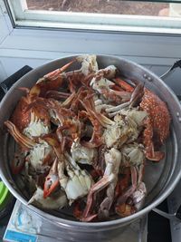 High angle view of meat in container