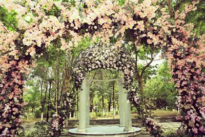 Plants and trees in park