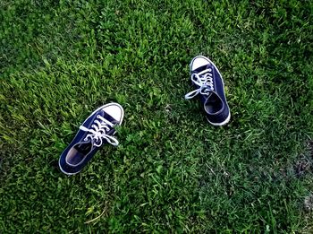 High angle view of canvas shoes on grass