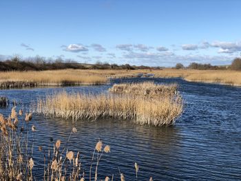 Scenic view of lake against sky