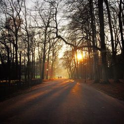 Road amidst trees against sky during sunset