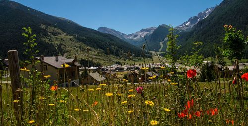 Scenic view of field against mountains