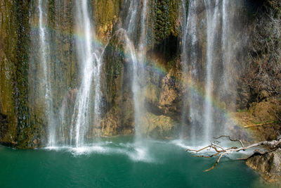Scenic view of waterfall in forest