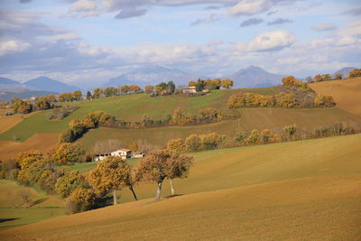 Scenic view of agricultural field against sky