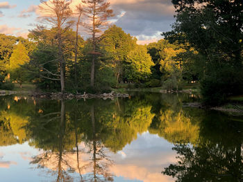 Scenic view of lake by trees against sky