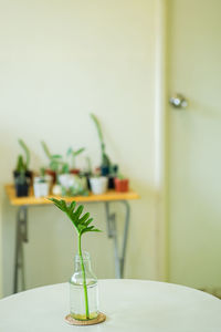 Close-up of vase on table at home