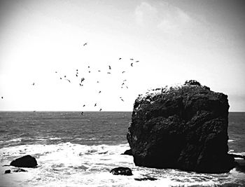 Birds flying over sea against sky