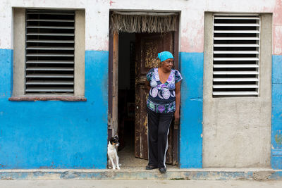 Blue dog by window of building