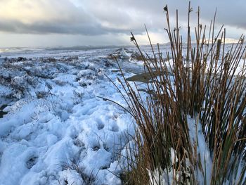Frozen landscape against sky