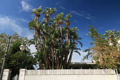 Low angle view of trees and building against sky