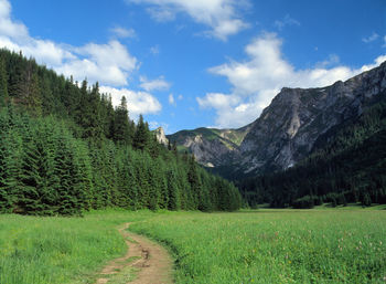 Scenic view of landscape against sky