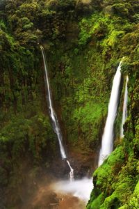 View of waterfall in forest
