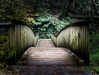 Footbridge amidst trees in forest