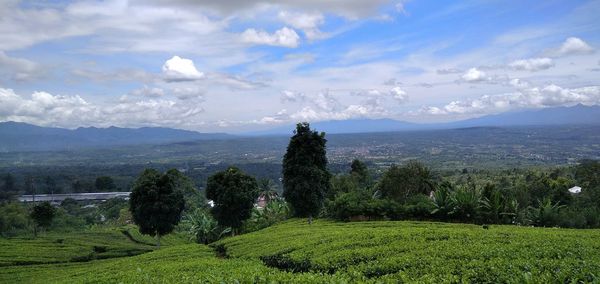 This is a city that is a tourist spot, namely the city of natural fences under mount dempo