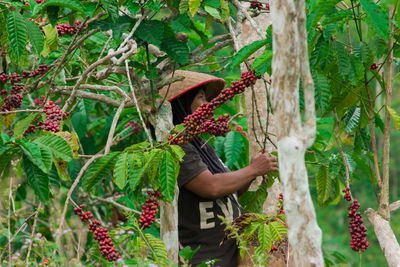 Midsection of person holding plants