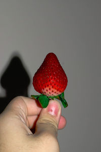 Midsection of person holding strawberry