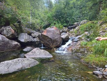 River flowing through rocks in forest