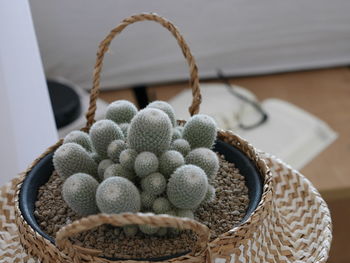 Close-up of fruits in basket on table