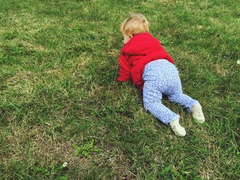 High angle view of baby crawling on grass at park