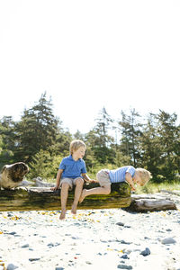 Brothers on log at beach against clear sky during sunny day