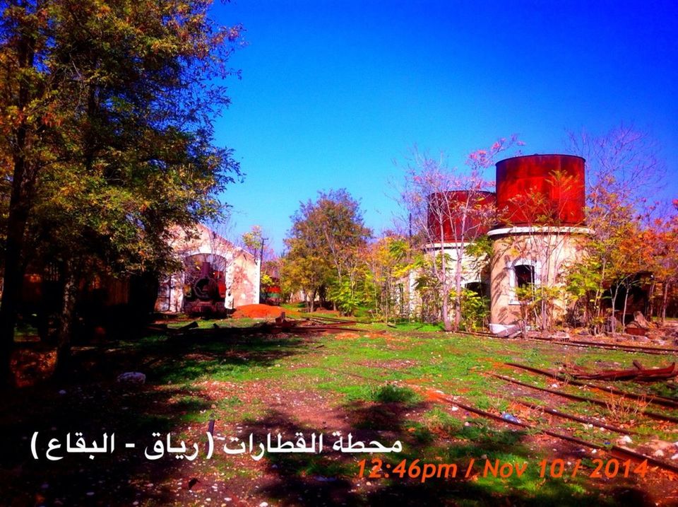 architecture, built structure, building exterior, tree, clear sky, old, abandoned, history, run-down, house, obsolete, sky, blue, damaged, field, grass, weathered, no people, outdoors, deterioration