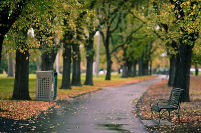 Empty benches in park